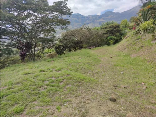 Lote En Girardota Vereda El Limonar