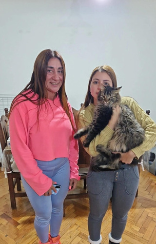Traslado De Mascotas Con O Sin Sus Dueños A Todo El País