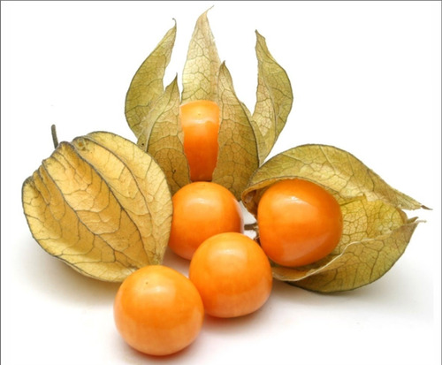 Semillas De Uchuva!! Aguaymanto O Physalis - Superalimento!!