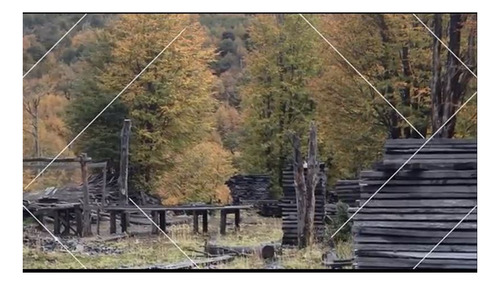 Imagen 3 de 30 de Campo 240 Ha C/ Bosque, Rios Y Glaciare Cerca Villa Castillo