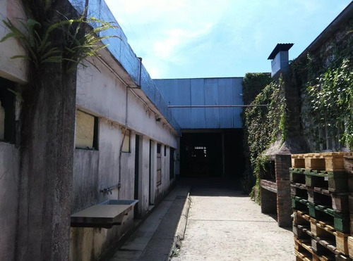 Imagen 5 de 6 de Venta Galpón 1600m2 En Burzaco