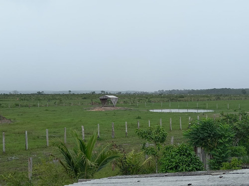 Imagem 6 de 13 de Fazenda 10600 Hectares, Acesso Asfaltado, Rica Em Água Com Lago, Planta 6000 Hectares, Topografia Plana, Casas Sede E Caseiro, Curral, Barracão - Fa00252 - 70762252