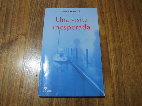 Una Visita Inesperada - Sonya Hartnett - Ed: Castillo 