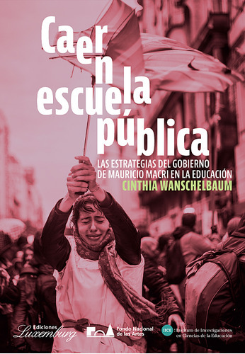 Caer En La Escuela Publica - Wanschelbaum Cinthia (libro)  