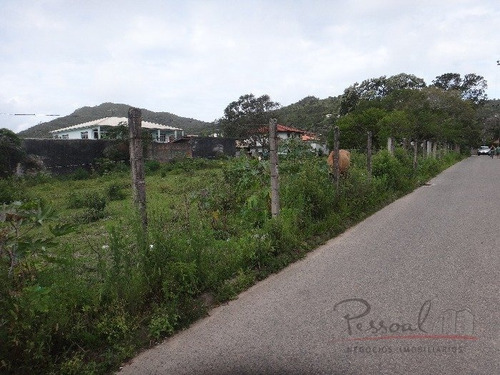 Imagem 9 de 10 de Excelente Terreno Na Cachoeira Do Bom Jesus Com Viabilidade Para Loteamento E Condomínio - V-3037