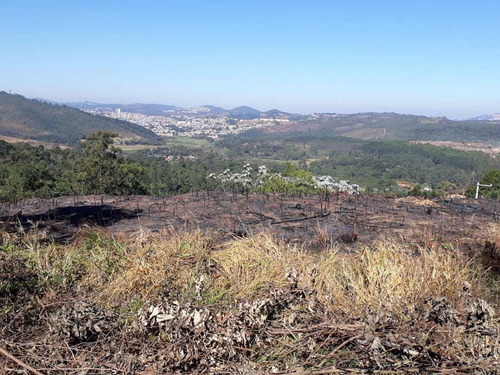 Imagem 5 de 5 de Terreno, Vau Novo, Cajamar - R$ 100 Mil, Cod: 235350 - V235350