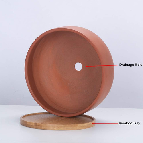 Maceta Suculenta Poco Profunda De Terracota, Maceta De 8 Pul