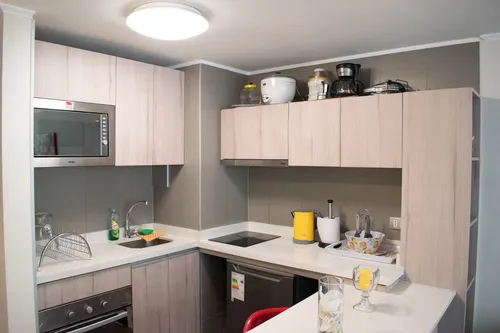 Arriendo Depto Amoblado 1 Habitación - Santiago (4238)