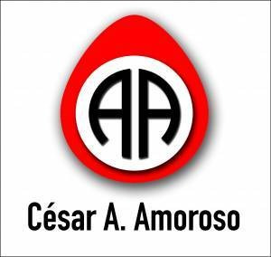 Arbol De Levas Renault 19 Clio Express 1.9 8v Diesel