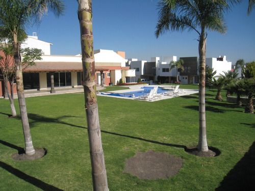 Imagen 2 de 7 de Casa Renta 3 Rec Amueblada Terraza Alberca Jardín Centro Sur