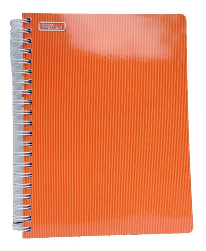 Libreta Profesional Semi Dura 200 Hojas Colores 5 Materias