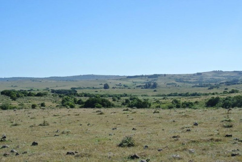 Mieres Campo De 22.8 Has Con Buenos Suelos Y Agua Garzon