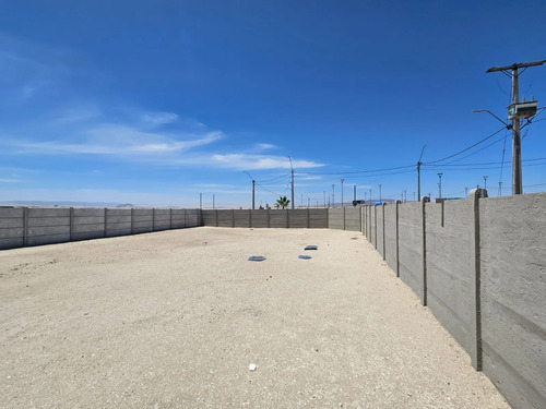 Coral De Bahía Inglesa | Espacio Real Frente Al Mar