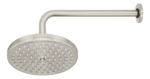 Regadera Satin 8 Plato Redondo Con Brazo Foset 45577