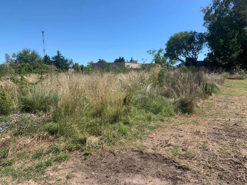 Imagen 3 de 3 de Venta De Terrenos, Muy Buena Ubicación -esperamos Tu Oferta.