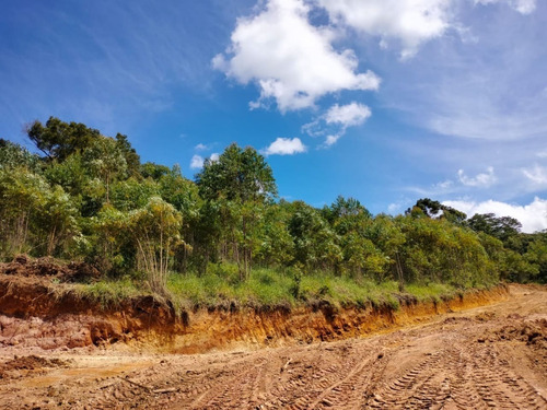 Imagem 5 de 11 de Lotes E Sítios Próximo A Represa Cd. Phg