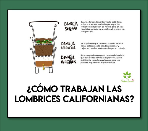 Lombrices Californianas Nucleo 4kg - Opcion Para Proyectos
