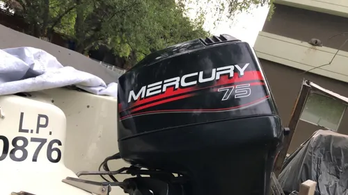 Lancha. Casco Genua 4,90 Motor Mercury 75 Hp
