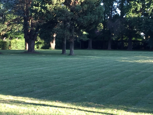 Lote , Terreno , Campo De 5000m2 Dueño S/comi Zona En Crecim