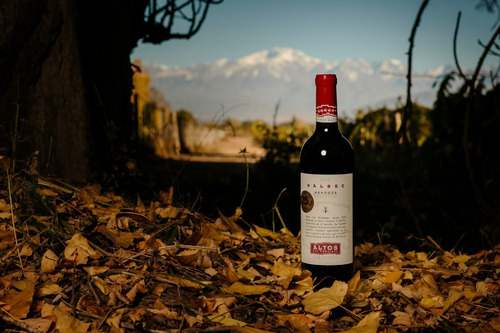 Mix Altos Las Hormigas La Danza + Malbec Specialist Caja X6