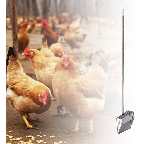 Para Arena De Gatos, Recogedor De Pollos, Multiusos, 106 Cm