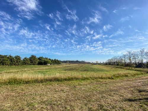 Imagen 7 de 14 de Lotes En Venta, 10.400 M2 Con Construcción Y Pileta. Tandil