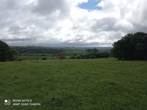 Imagen 14 de 25 de Venta De Campo, Maldonado.campo De 41 Hectáreas, Próximo A Pueblo Edén - Pueblo Eden
