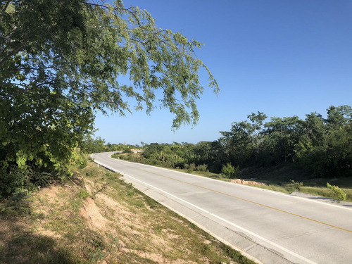 Zacaton Playa Tortuga, Zacaton Developer Land