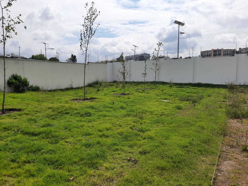 Imagen 6 de 14 de Terrenos En Venta En Bosque Real Con Financiamiento Directo