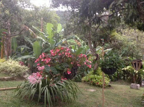 Finca En Venta En Felidia - Las Nieves. Cod V5401