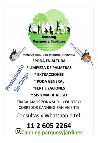 Imagen 1 de 10 de Poda En Altura - Extracciones - Tala De Arboles - Poda Gral!
