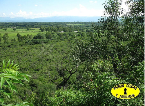 0553hp-campo El Encón-la Silleta- Rn Nro 51 -  Salta