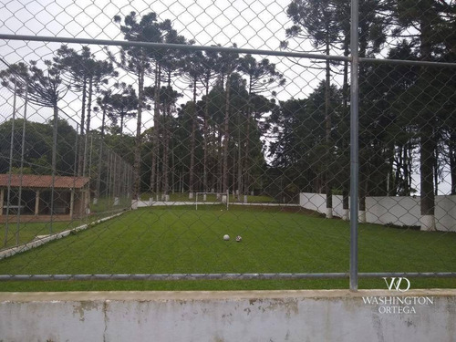 Imagem 13 de 29 de Chácara À Venda, 96800 M² Por R$ 2.300.000,00 - Contenda - São José Dos Pinhais/pr - Ch0053
