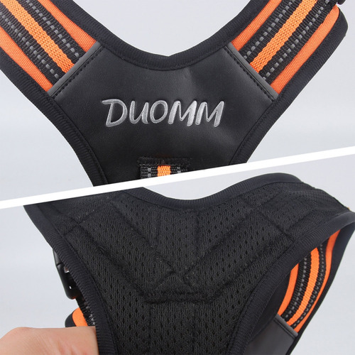 Correas De Pecho Y Hombro (gg-xl) Para Mejorar La Visibilida