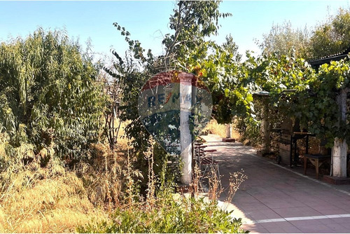 Precio Rebajado - Gran Patio
