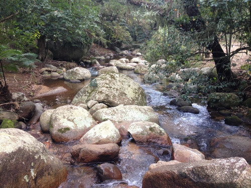 Imagem 3 de 14 de Terreno Para Chácara À Venda Em Canelinha/sc - 1669c