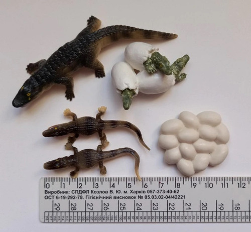 Dinosaurio Jurassic Dinosaurios Esqueleto