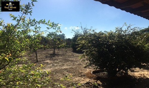 Imagem 18 de 30 de Excelente Chácara À Venda Em Boituva - Ch00079 - 34078339