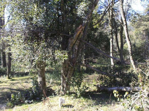 Imagen 13 de 17 de Venta Lote De 1025 M2 En Las Balsas, Villa La Angostura