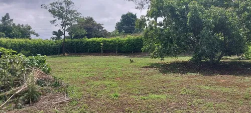 Lote De 1250m2