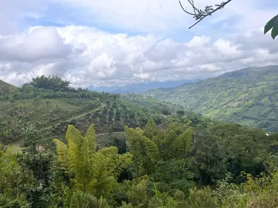 Finca en venta
