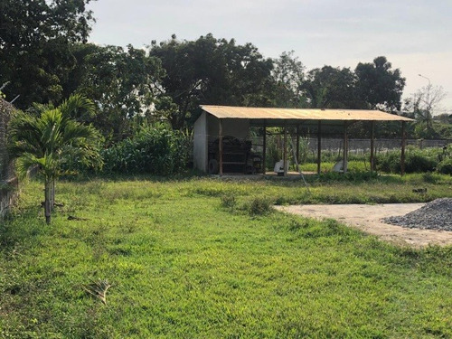 José Herrera Vende Mini Finca En La Entrada De Nirgua Estado Yaracuy. (plf-005)