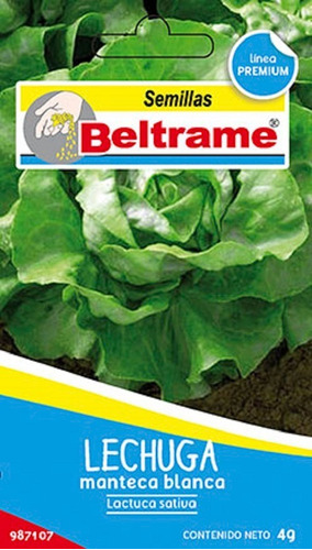 Semillas De Lechuga Mantecosa Beltrame 4g Huerta 