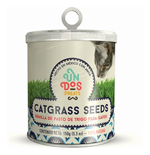 Cat Grass Seeds Pasto De Trigo Para Gatos