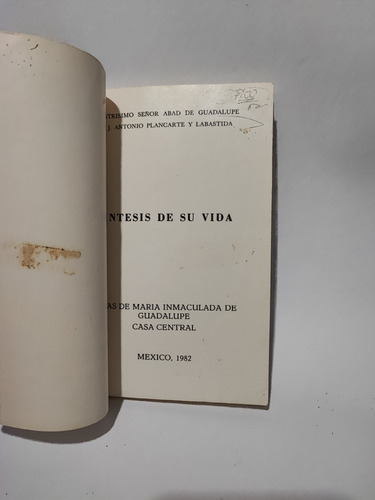 Síntesis De Su Vida Guadalupe Plancarte Labastida 1982 (Usado)