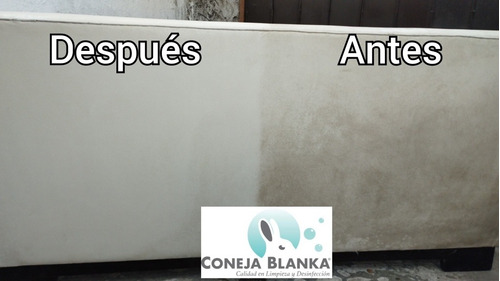 Imagen 5 de 5 de Limpieza Alfombras Sillones Colchones