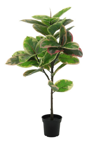 Gomero Variegado Ficus Planta Artificial  90cm Con Maceta