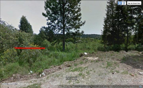 Imagem 10 de 10 de Terreno Para Venda Em Campo Largo, Bolsa Nova - 811_2-154242