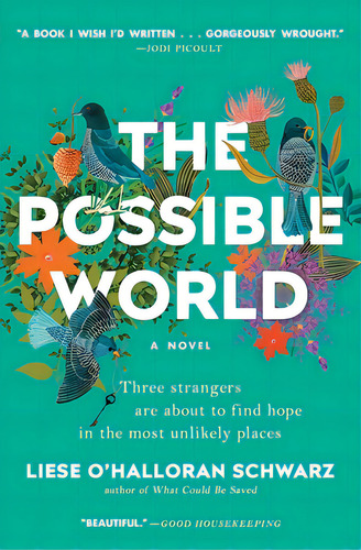 The Possible World, De Schwarz, Liese O'halloran. Editorial Scribner Books Co, Tapa Blanda En Inglés