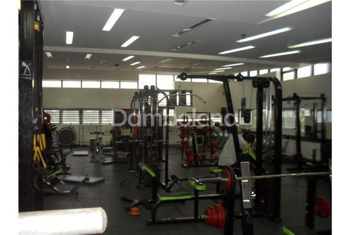 Imagen 7 de 15 de Depósito Galpón En Venta O Permuta - Colectora Acceso Oeste - Moreno - Moreno